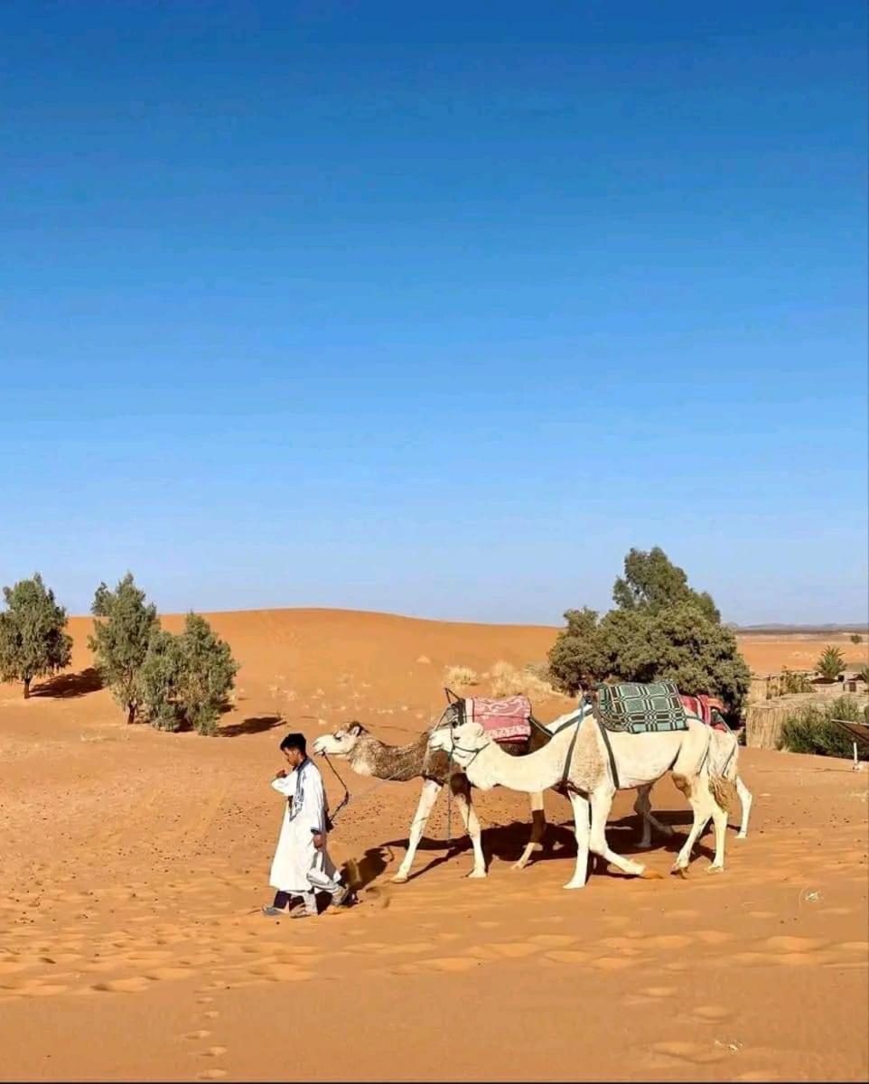 Tikida Camp By Tinfou Hotel Zagora Buitenkant foto